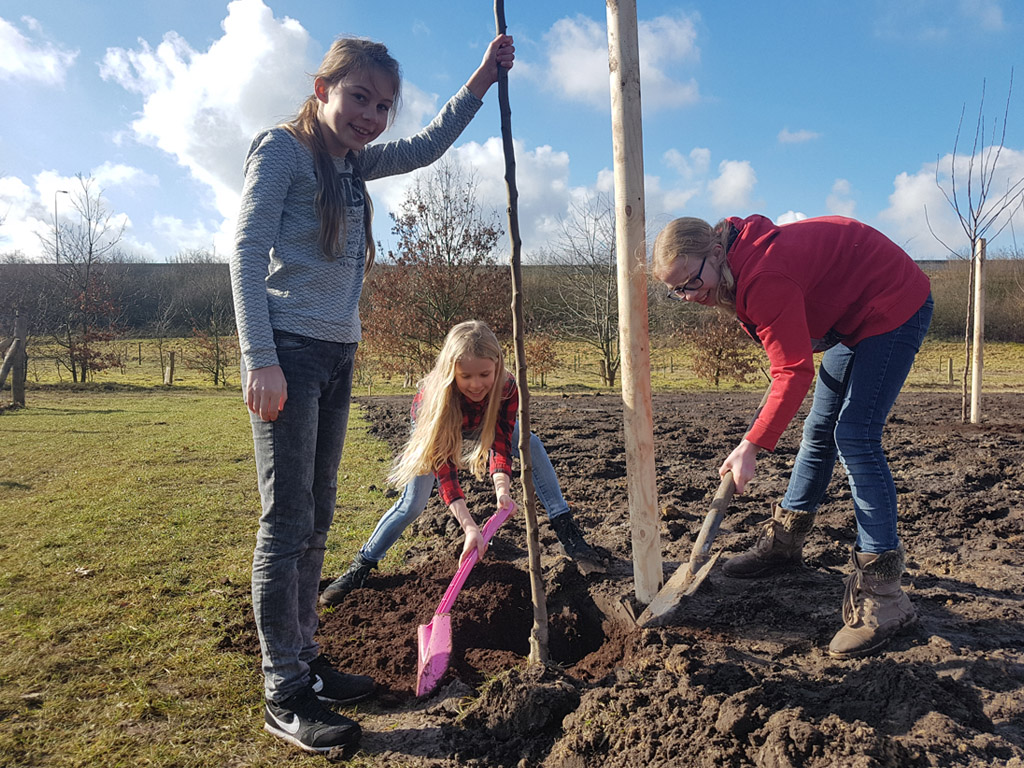 Kinderen van basisscholen en BSO’s van start met verzorgen eigen boom