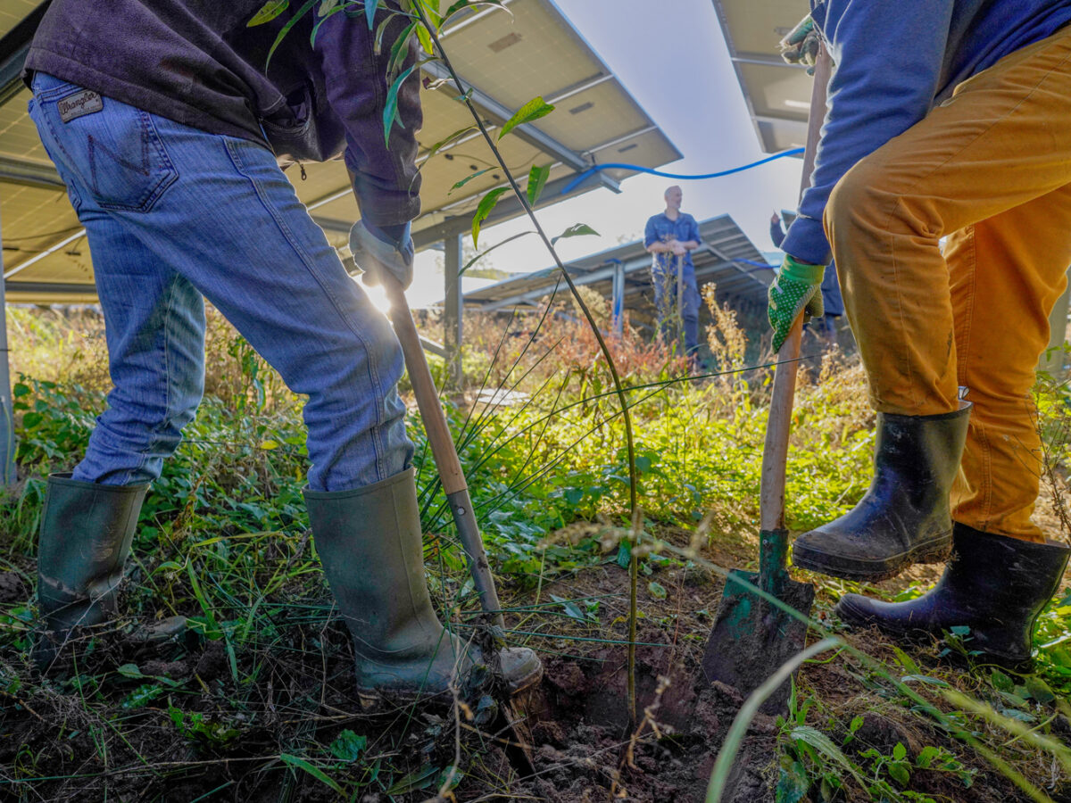 Ondersteuning lokale energie-initiatieven