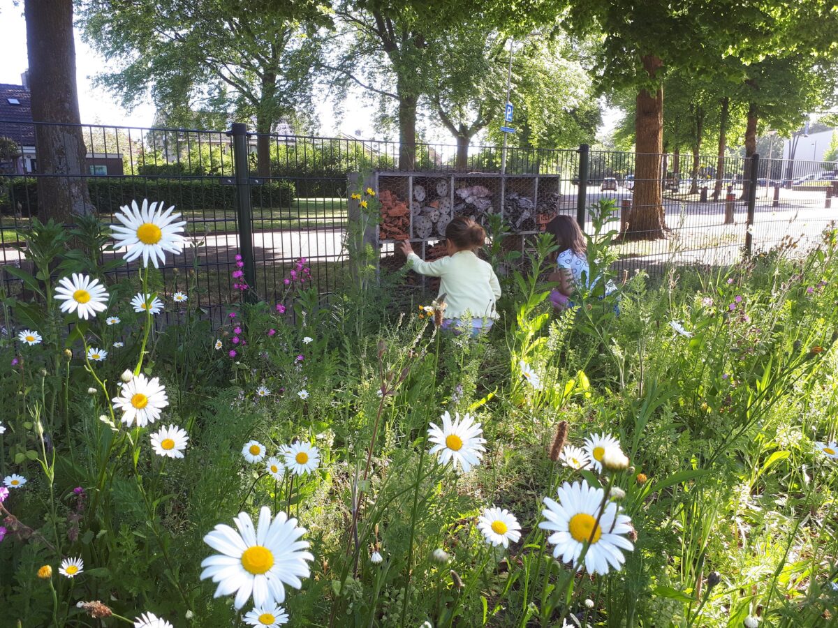 Steeds meer bijenplekken in Overijssel