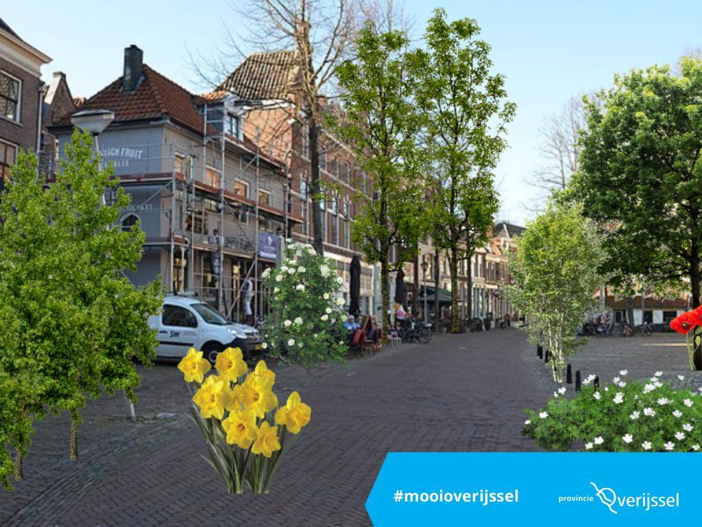 Vergroen je tuin of straat digitaal met de speciale vergroeningstool van Iedereen een Boom