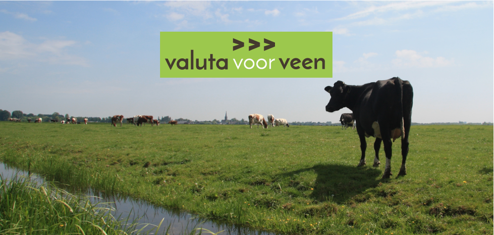 Kans Veenweidenboeren Overijssel – nieuw CO2verdienmodel via peilverhoging