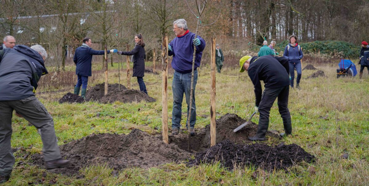 Subsidie beschikbaar voor bomenaanplant!