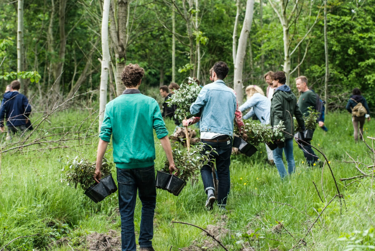 Samen bomen planten met Overijsselse subsidie