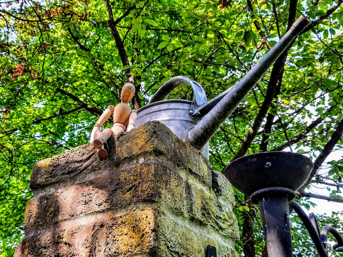 Met Nature Bits ontdek je de stadsnatuur van Zwolle door je smartphonelens