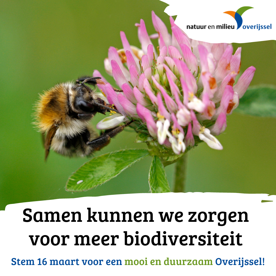 Stem voor een duurzame gemeente