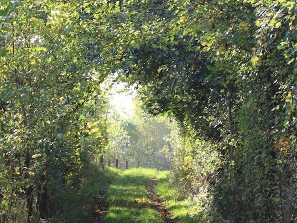 Update herfst 2024 Zalkerbos