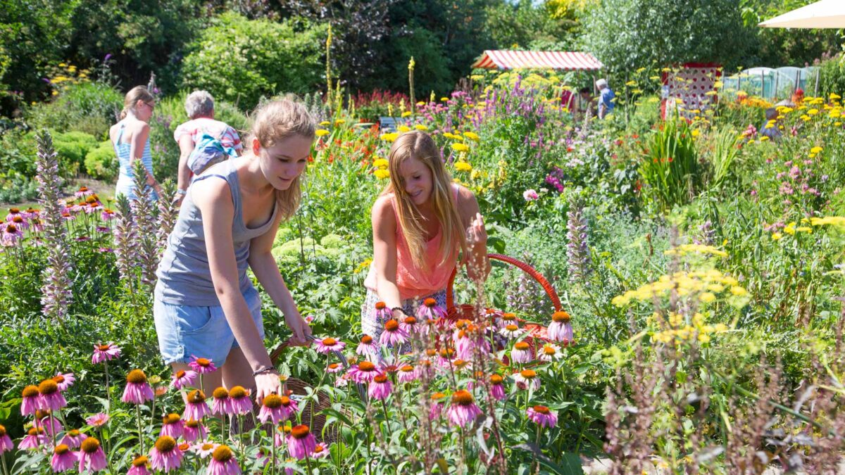 Inspiratiebijeenkomst Groene tuinen en straten