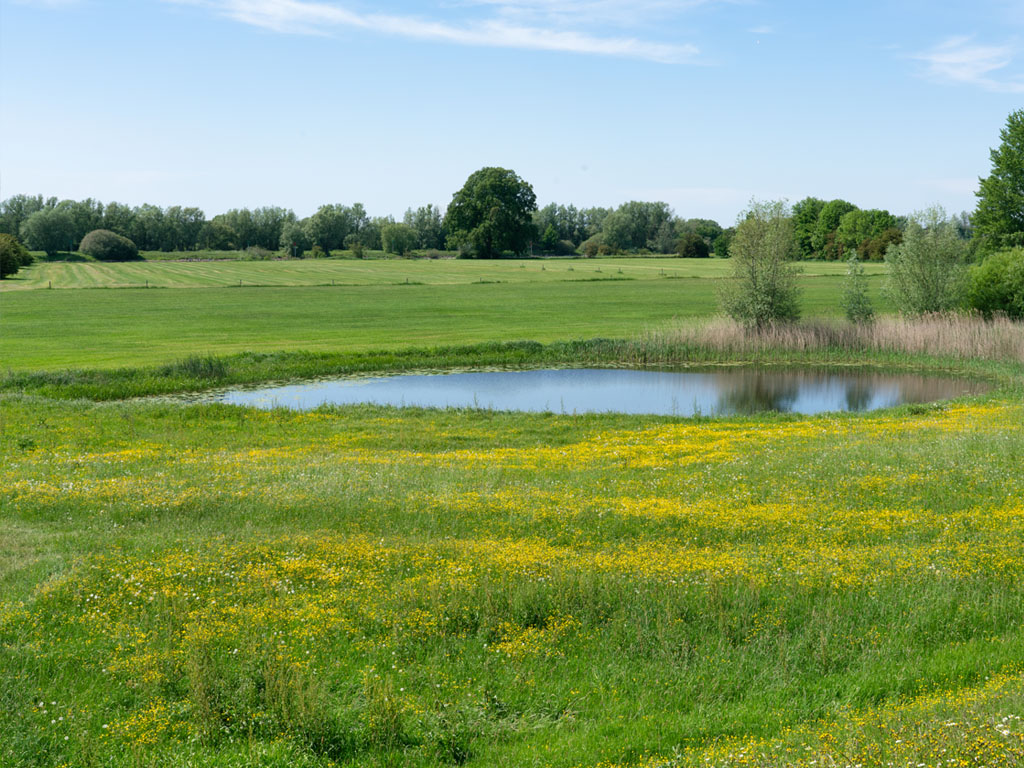 Update herfst 2024 Olsterwaarden