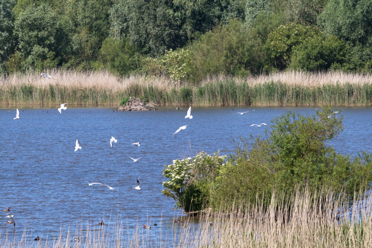 De provinciale visie op ruimte