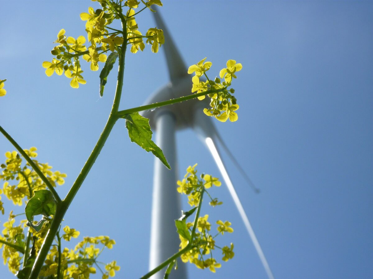 Lokaal Eigendom Windpark De Lutte