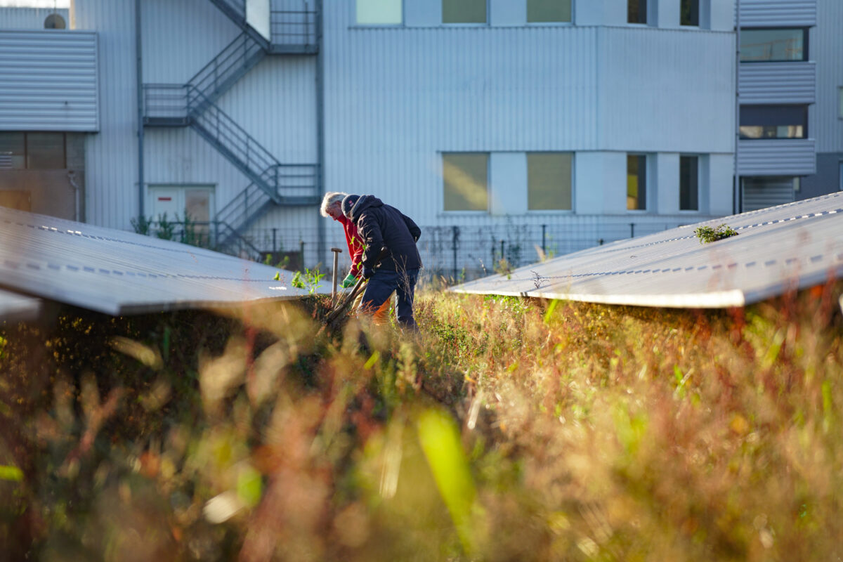 Een punt achter bewonersinitiatief Noordmanshoek?