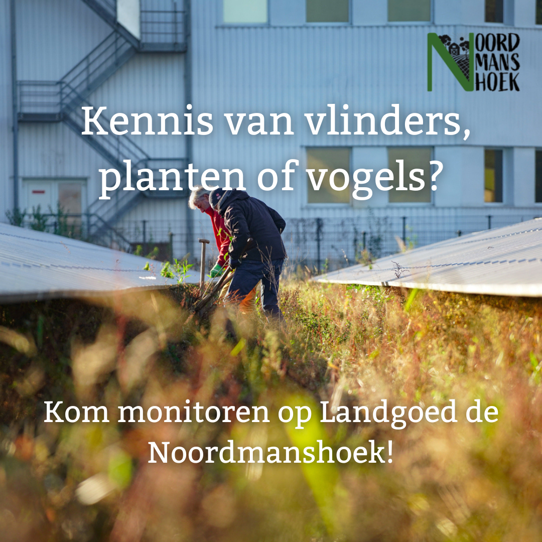 Kennis van, of interesse in vlinders, planten en vogels? Kom monitoren op Landgoed de Noordmanshoek!