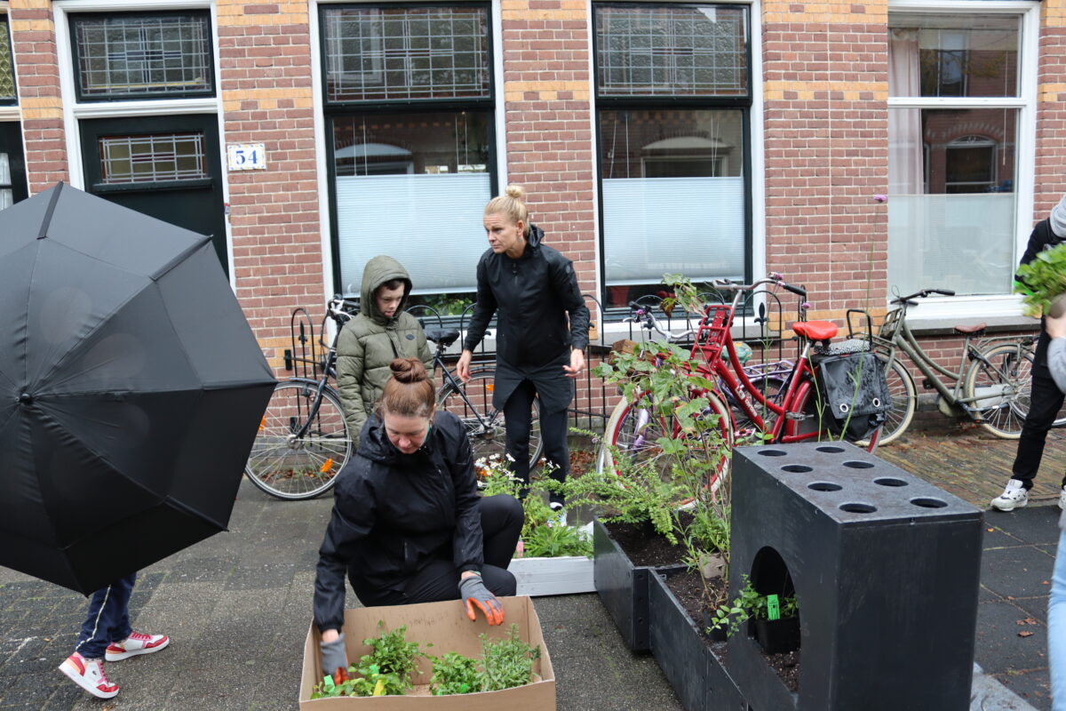 Lindestraat in Zwolle vergroent met gerecyclede plastics: “vergroening werkt aanstekelijk!”