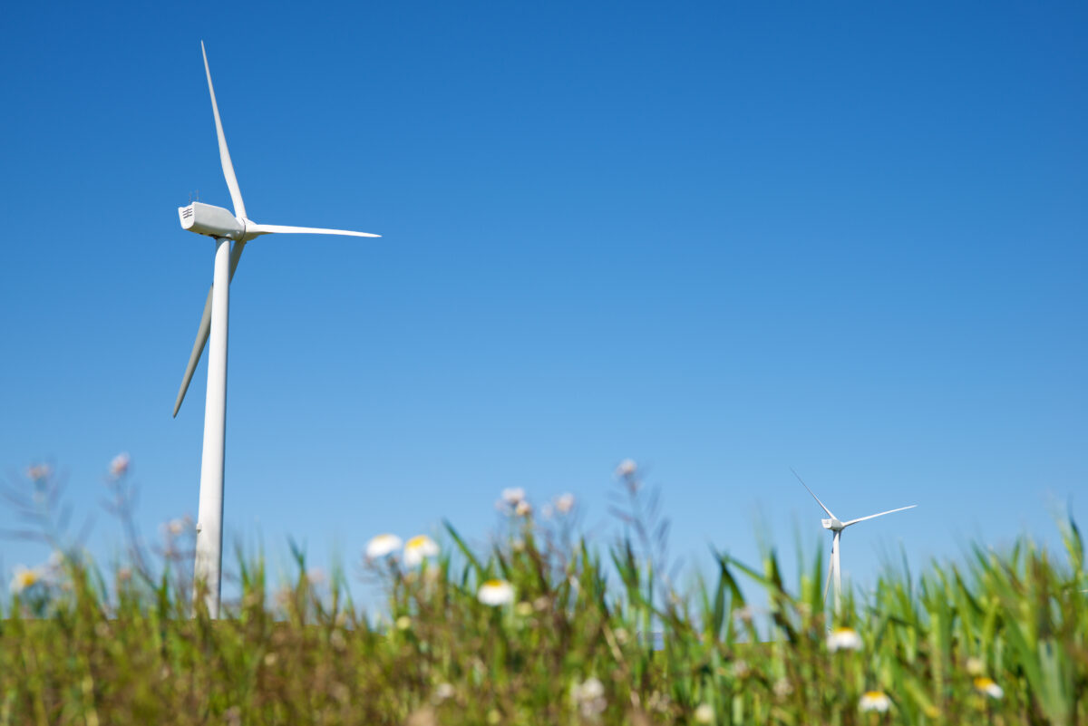 Windenergie is nodig, én natuur