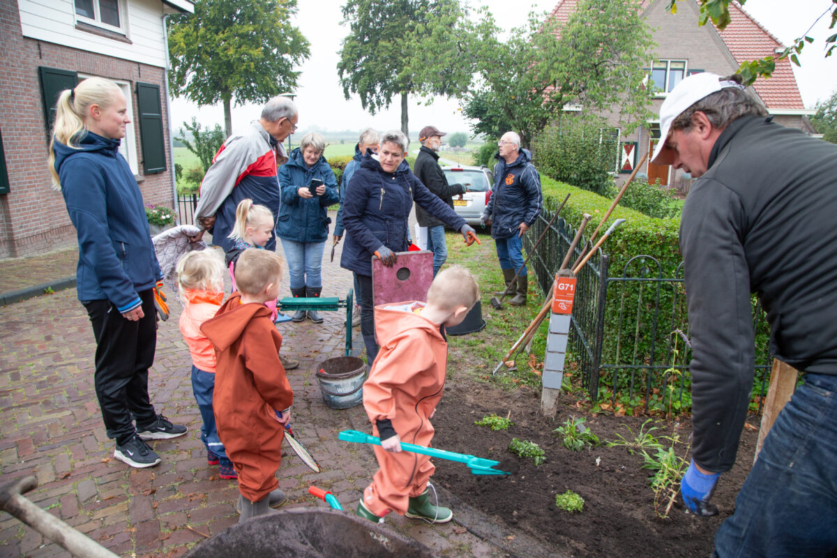 Maak je straat groen tijdens NLdoet 2024 met Groene Loper Kampen