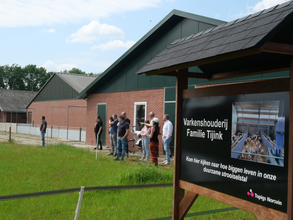 De innovatieve varkensstal van de familie Tijink