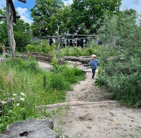 Een groen schoolplein laat kinderen ontdekken