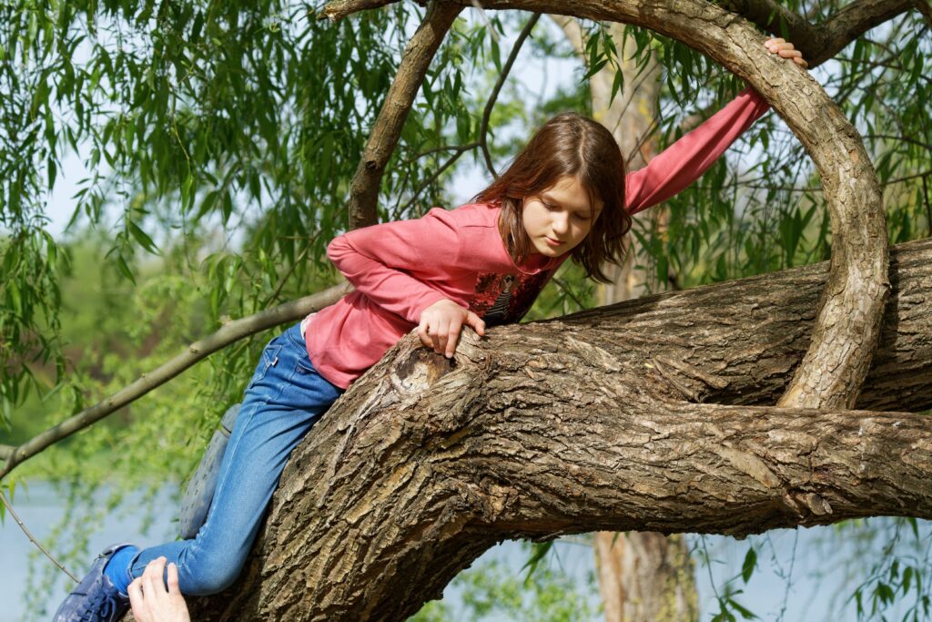 Lespakketten over bomen bij NME Overijssel 