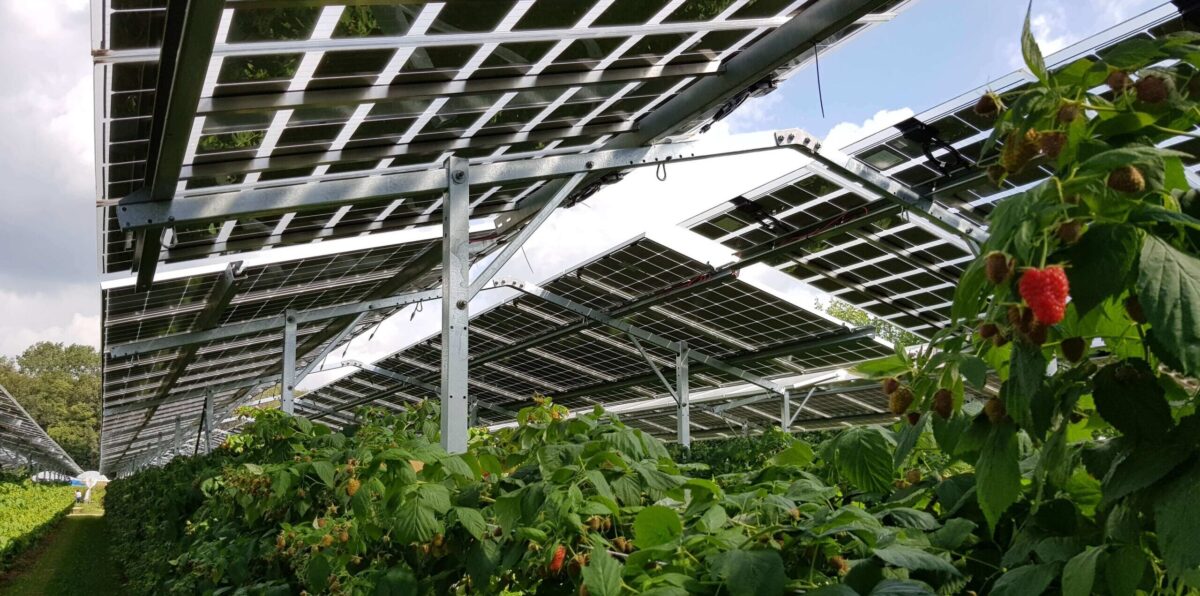 ‘Van Droom naar Daad’: Een nieuwe kennisserie