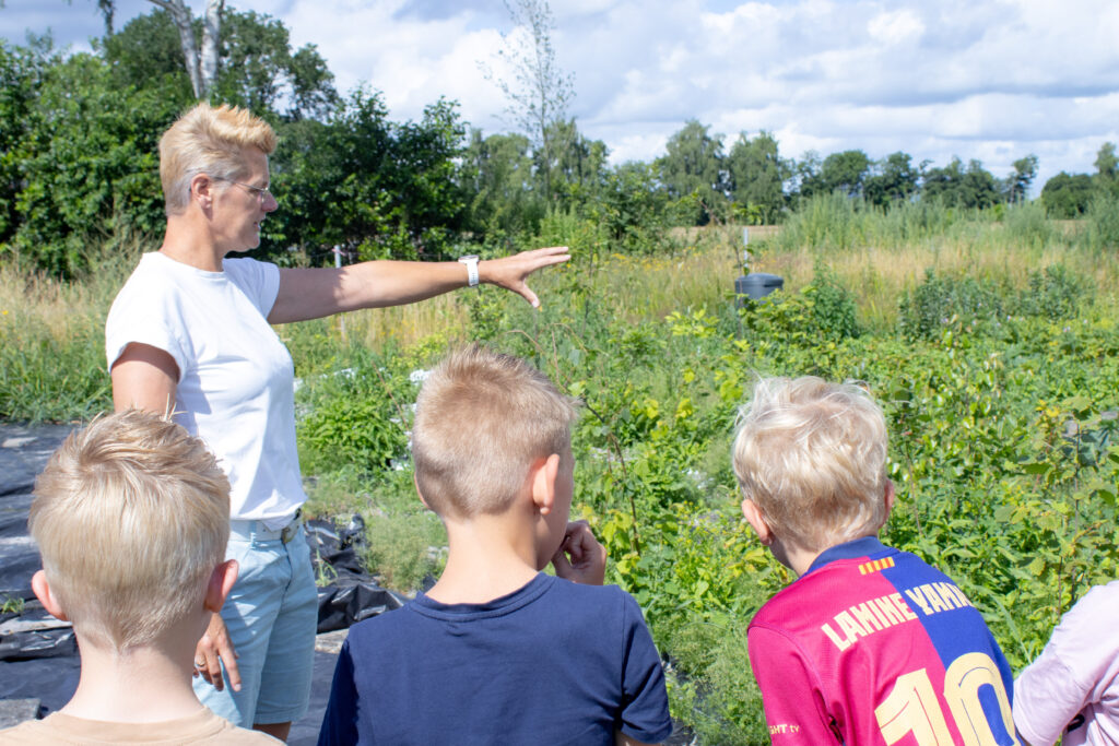 Word bomengastdocent