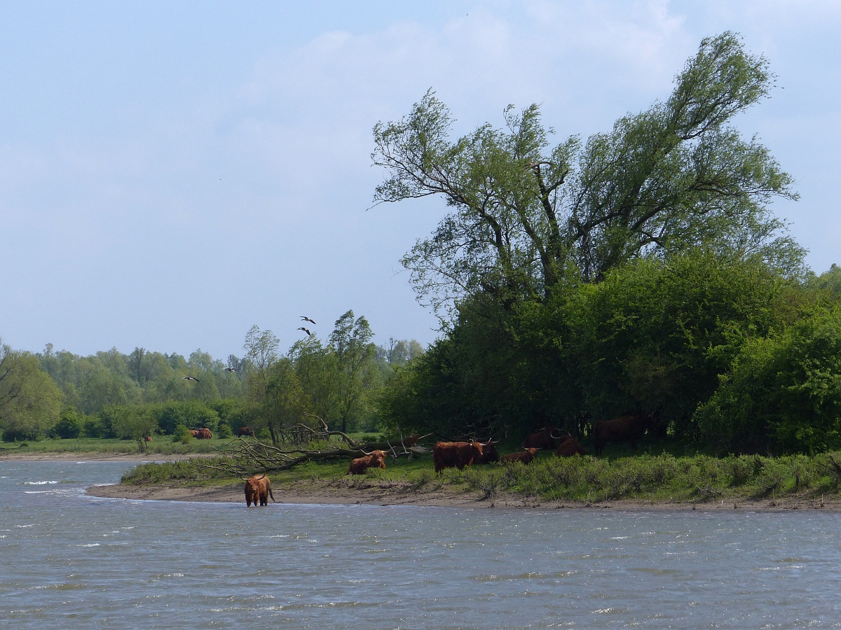 Update herfst 2025 Fortmond-Duursche Waarden