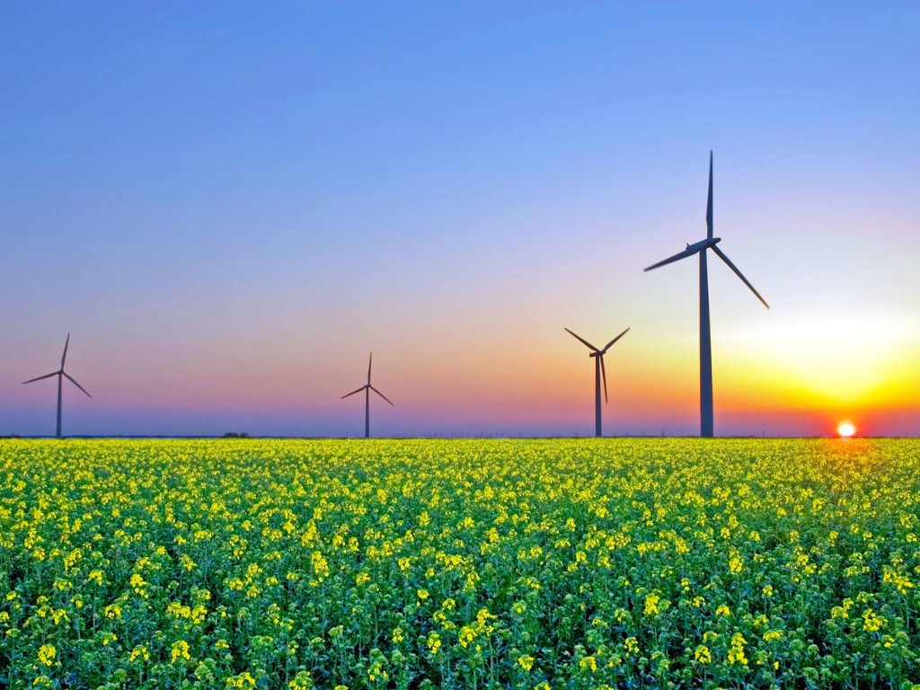 Klimaatmaatregelen: een dure misser die iedereen raakt