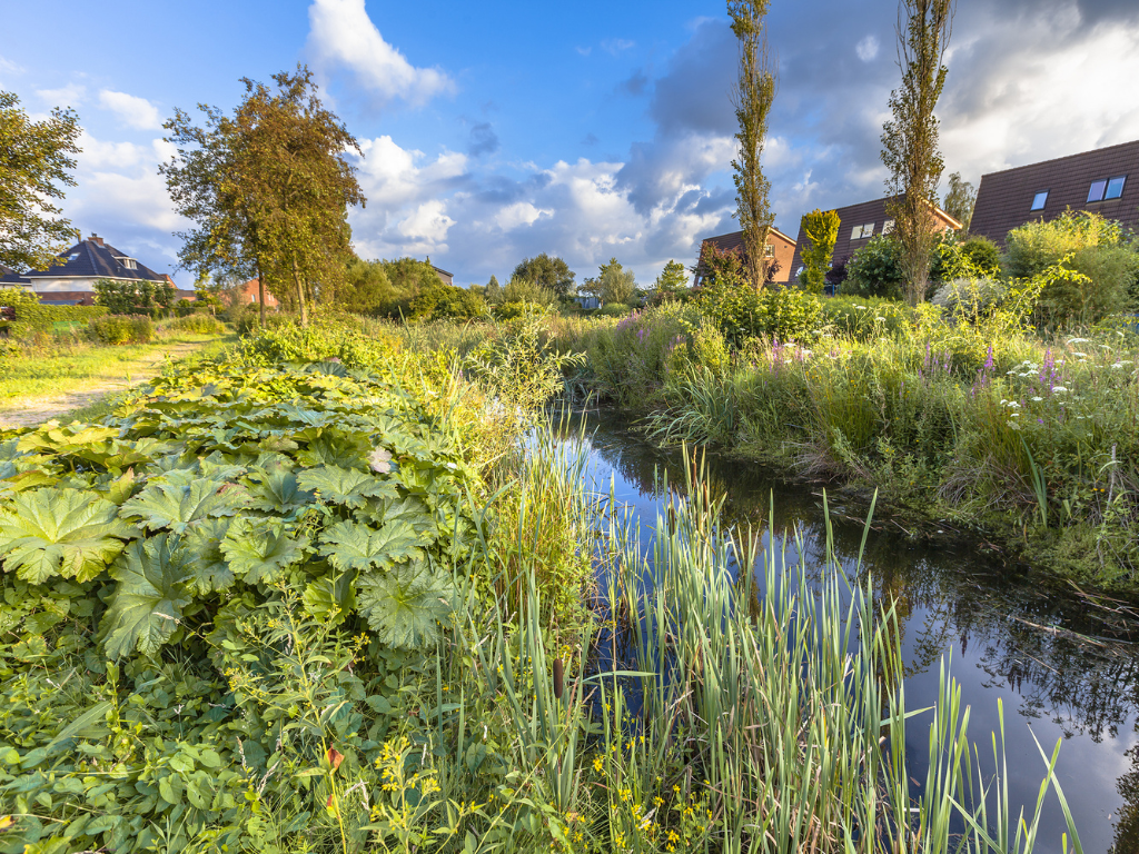 Nieuwe webapp SoortenKijker: natuur in je eigen buurt