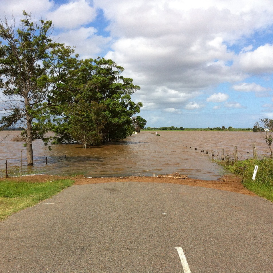 Tweede Kamer aan zet om door te pakken op natuur en klimaat