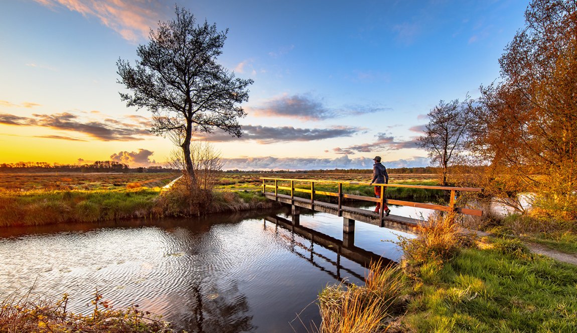 Kabinet schuift natuur- en klimaatdoelen vooruit – wij slaan alarm 