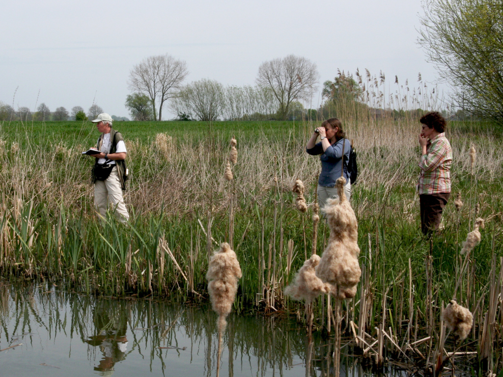 Nieuw stimuleringsfonds voor vrijwilligers