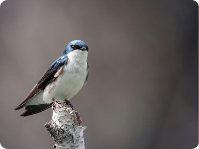Doneer met belastingvoordeel