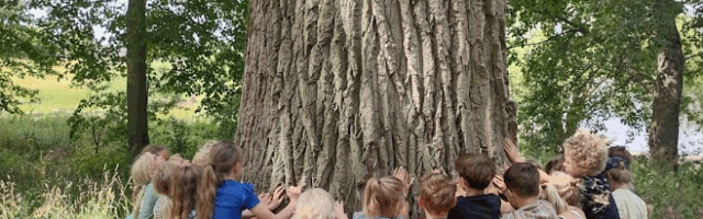 Kinderen omarmen een boom