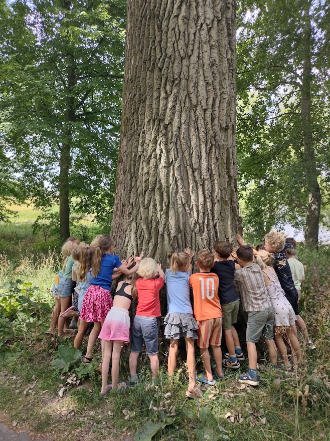 Een dag als bomengastdocent