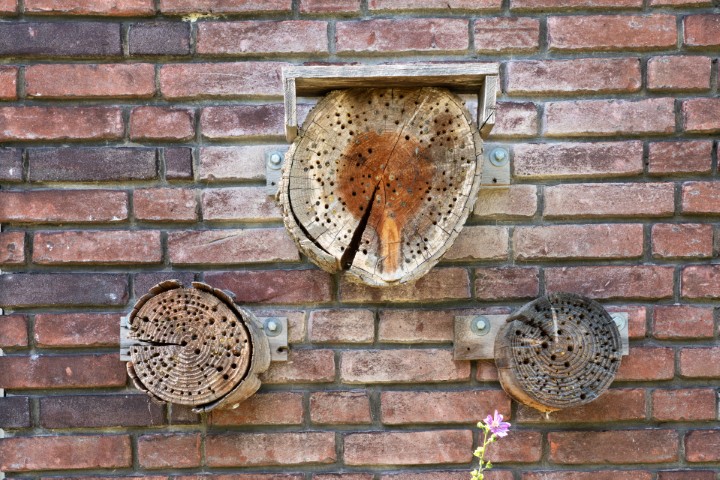 Groene Gezonde Schoolterreinen voor het Voortgezet Onderwijs