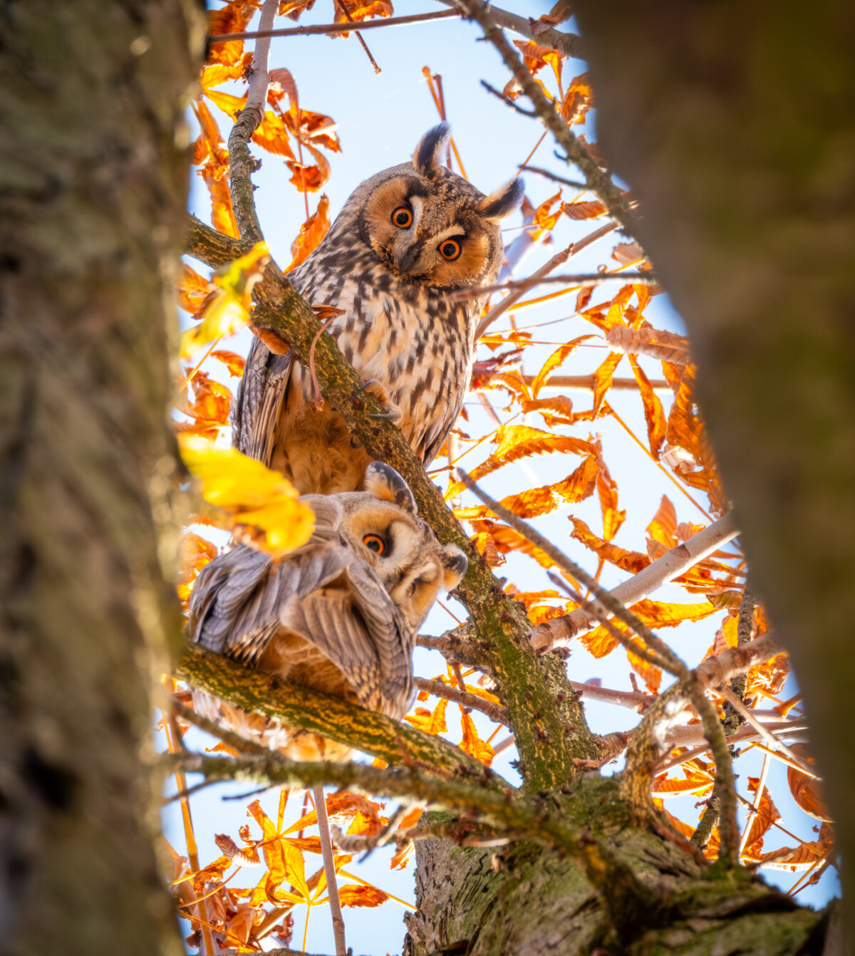 Wat gebeurde er in jouw buurt? – Terugblik 2025