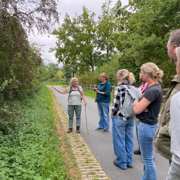 Loket voor werkgroepen
