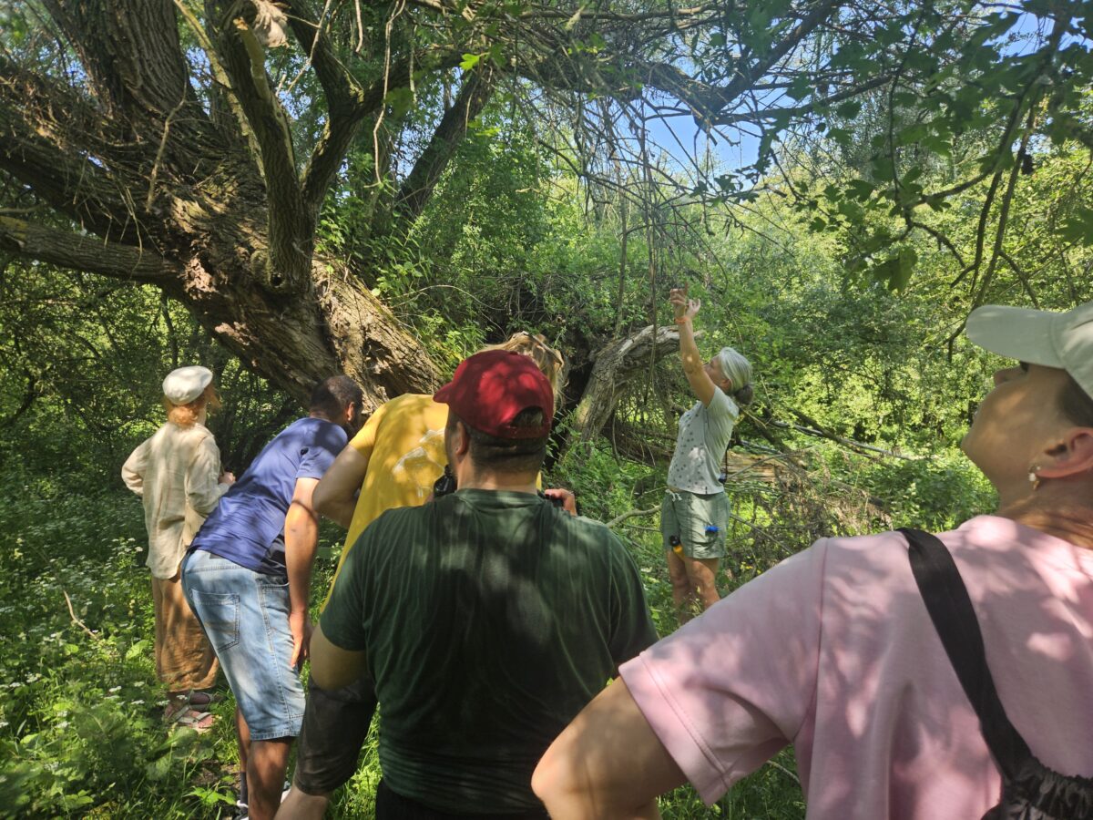 Groeien met de natuur als leermeester